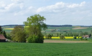 Battle of Eckmühl