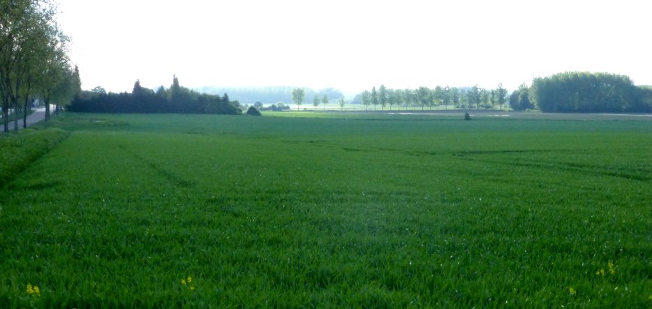 The battlefield between Villette and Arcis-sur-Aube