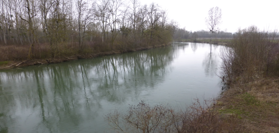 The Aube River