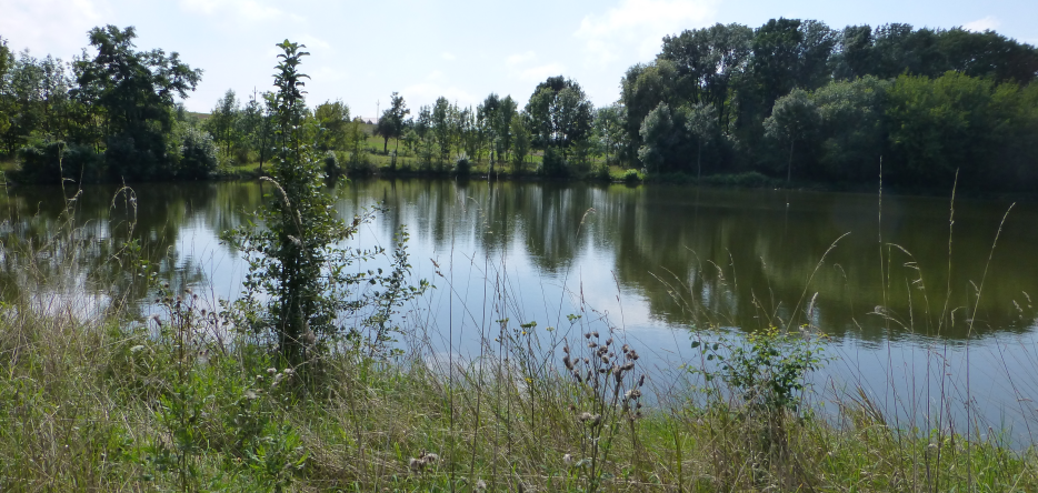 A pond near Telnitz