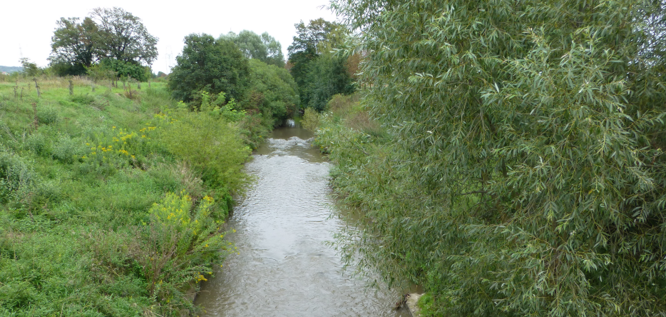 The Goldbach stream