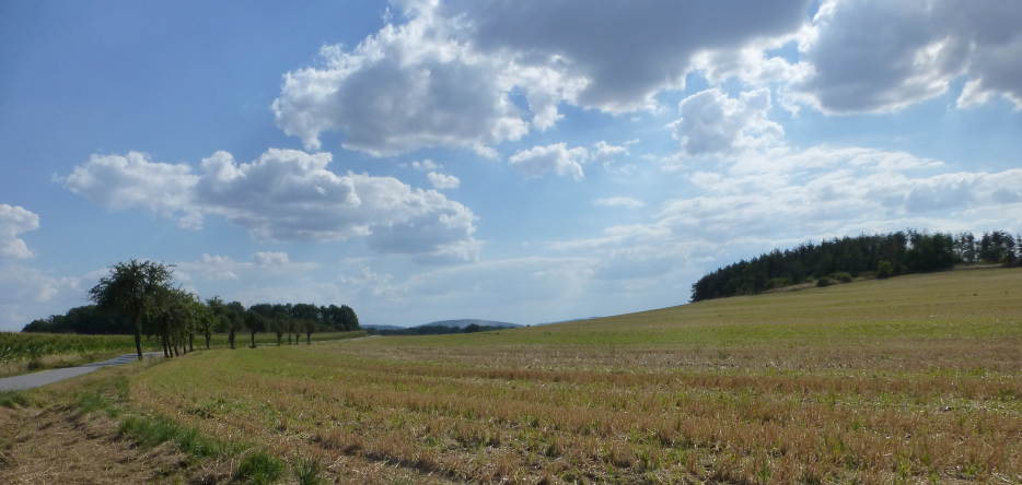 A view of the battlefield between Kreckwitz and Pliesskowitz