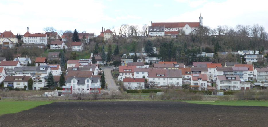 Oberelchingen, seen from the north bank of the Danube