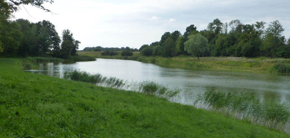 The river Alle near Friedland