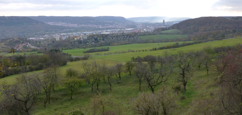 General view of Jena from the Sonnenberg