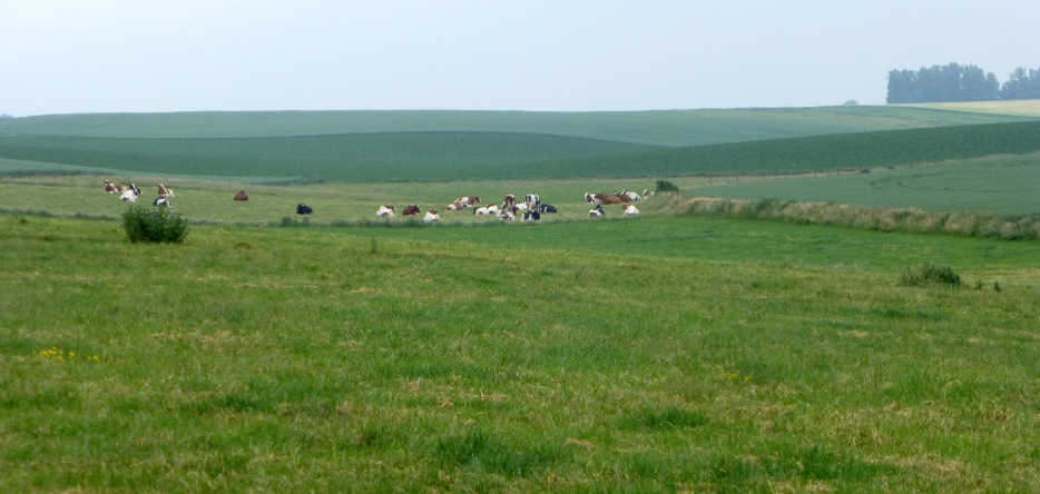The battlefield of Quatre-Bras